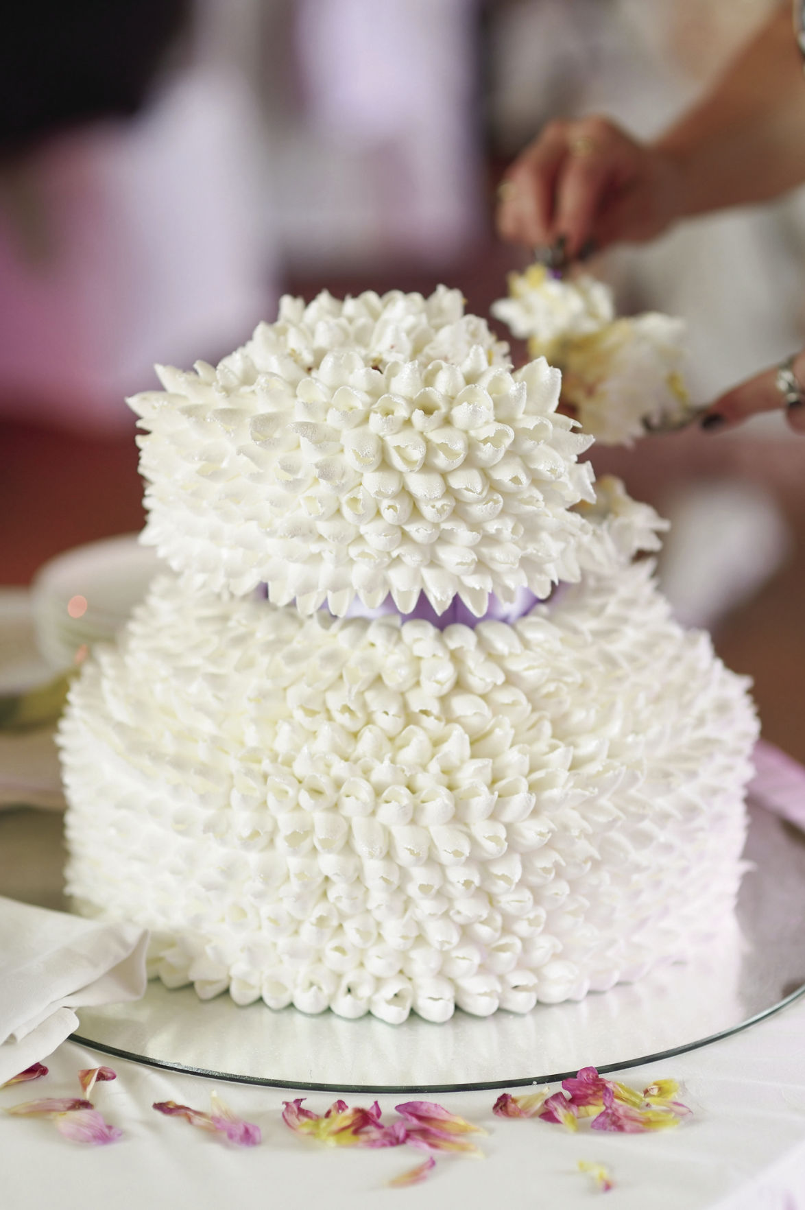 All the frills